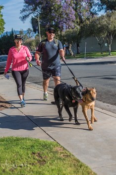 dog walkers